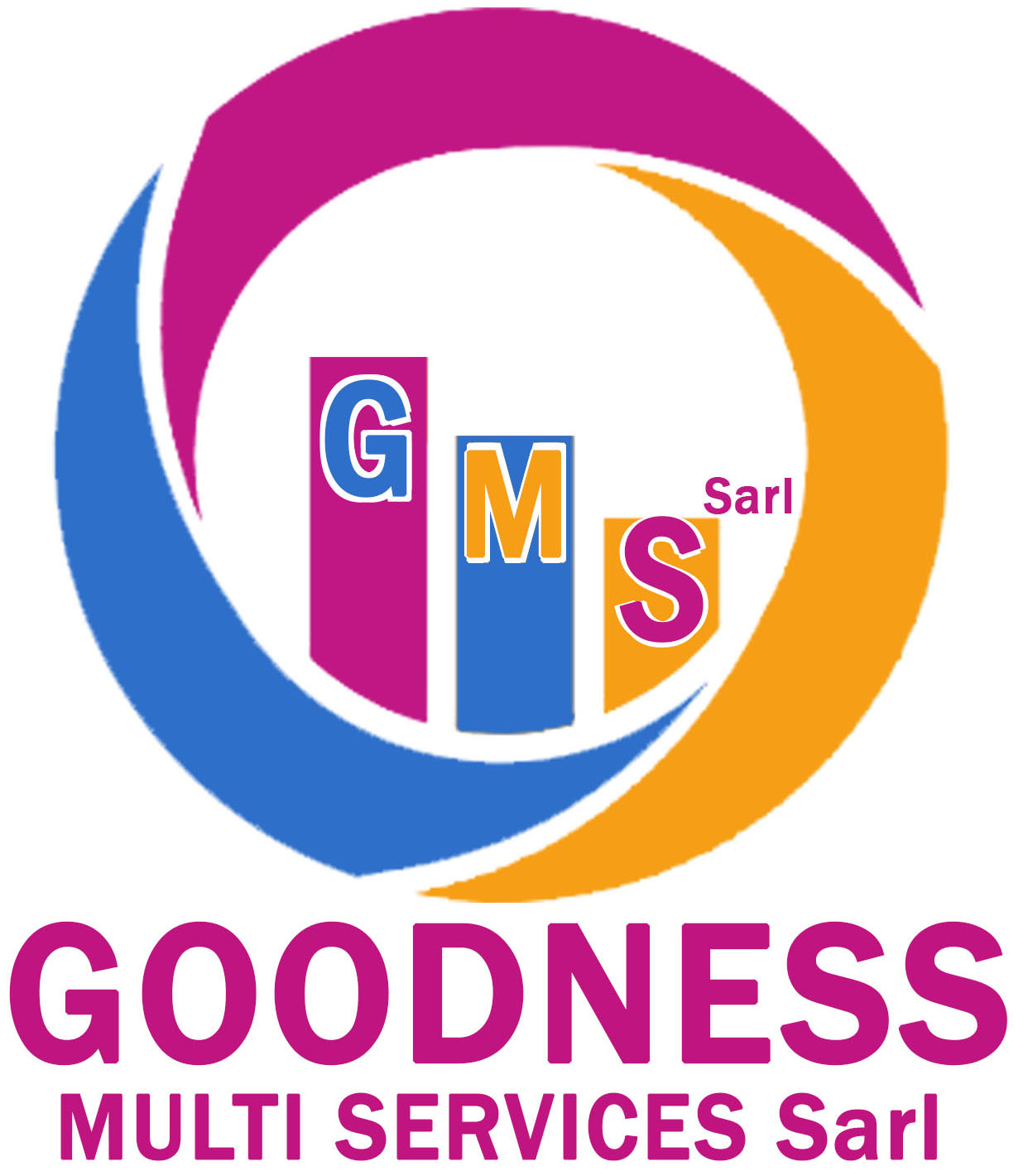 Logo Goodness Multi Services Sarl