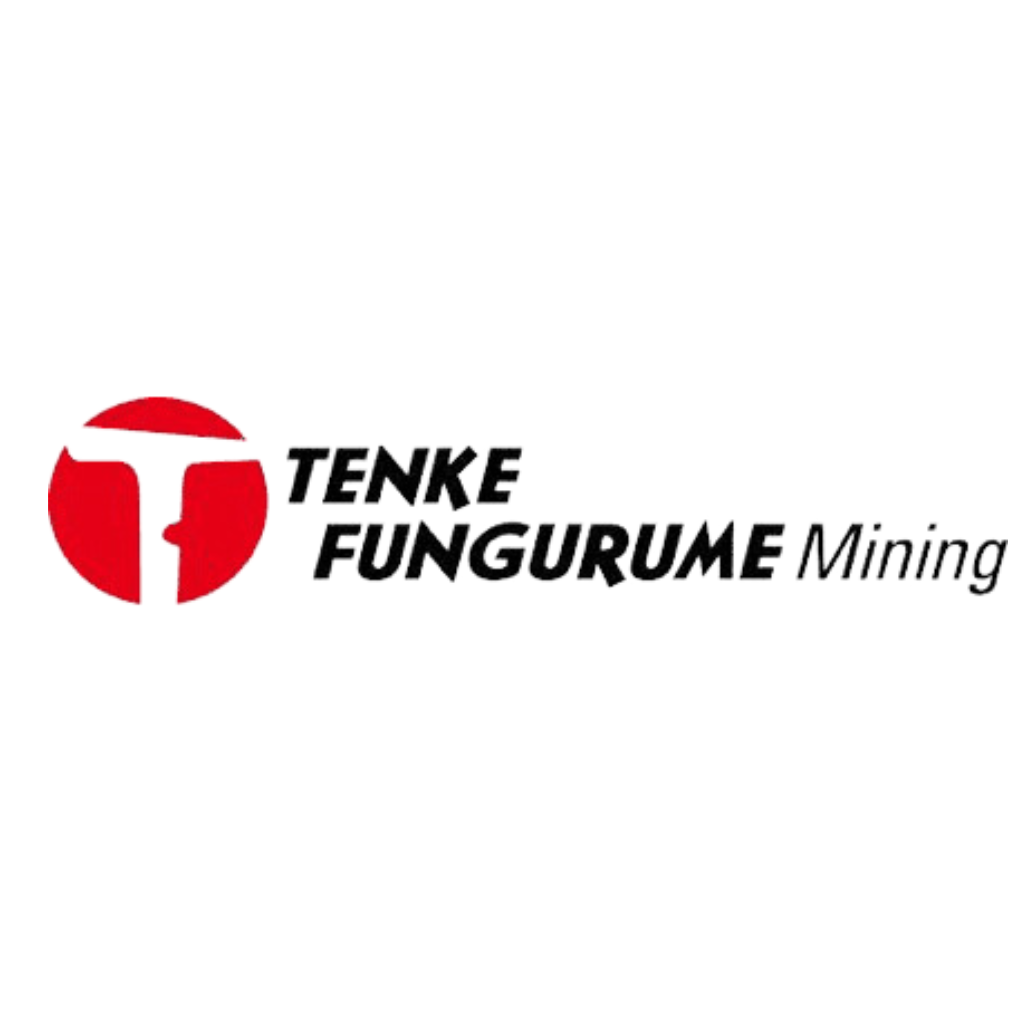 Logo Tenke Fungurume Mining (TFM)